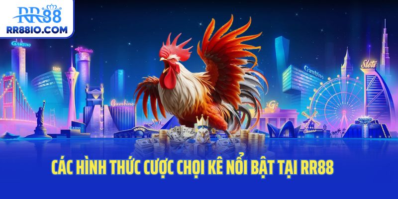 Các hình thức cược chọi kê nổi bật tại RR88