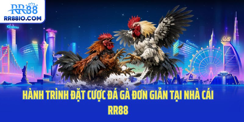 Hành trình đặt cược đá gà đơn giản tại nhà cái RR88