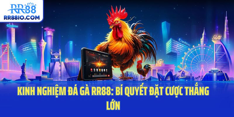 Kinh Nghiệm Đá Gà RR88: Bí Quyết Đặt Cược Thắng Lớn